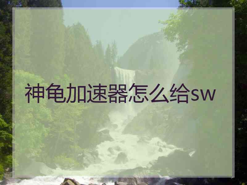 神龟加速器怎么给sw