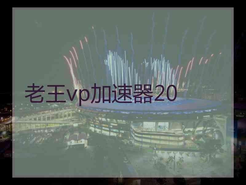 老王vp加速器20