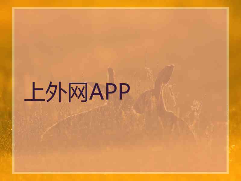 上外网APP