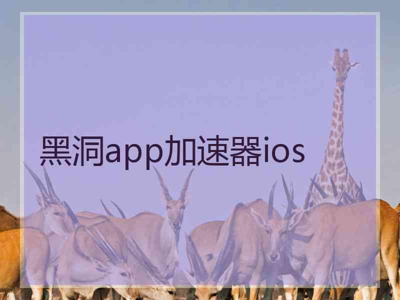 黑洞app加速器ios