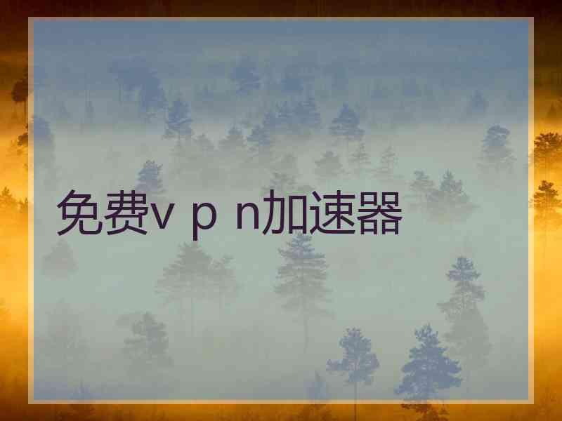 免费v p n加速器