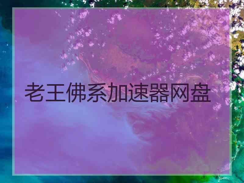 老王佛系加速器网盘