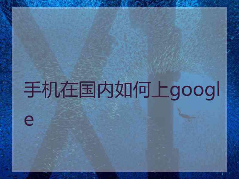 手机在国内如何上google