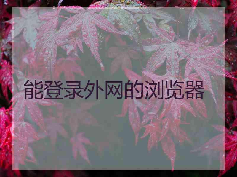 能登录外网的浏览器