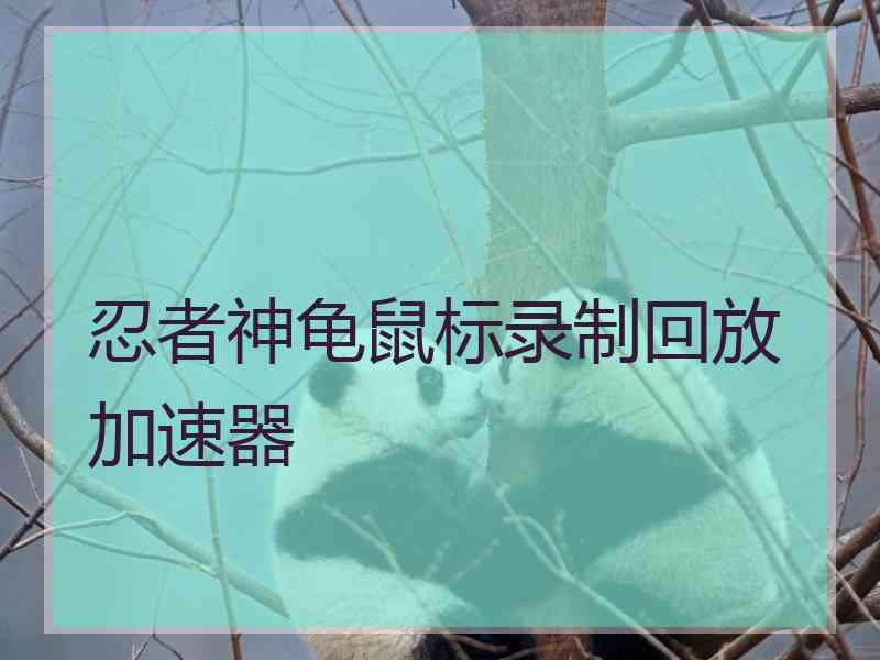 忍者神龟鼠标录制回放加速器