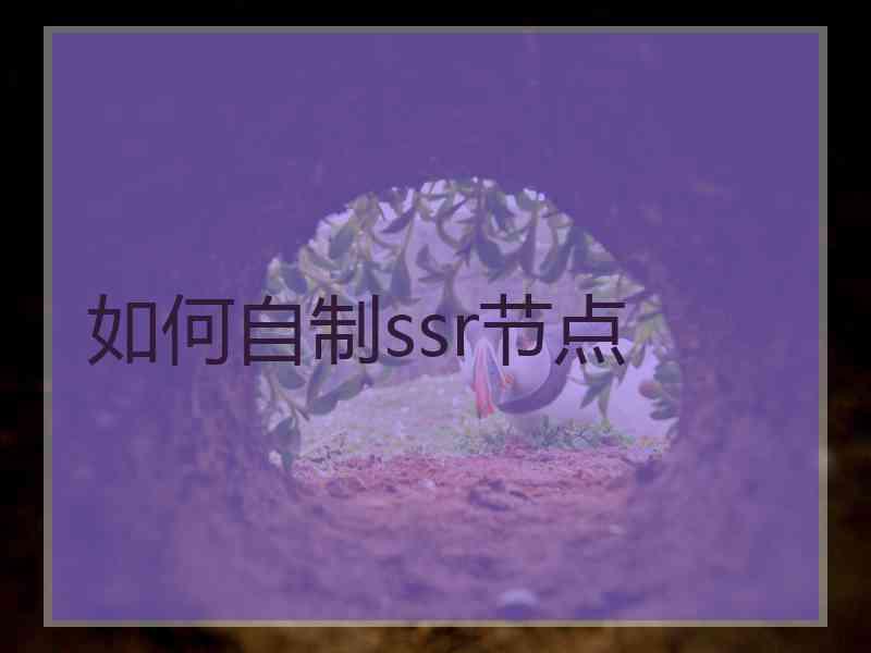 如何自制ssr节点