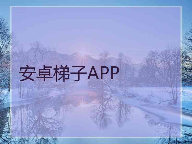 安卓梯子APP