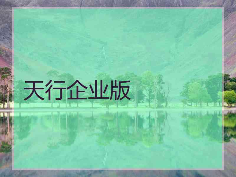 天行企业版