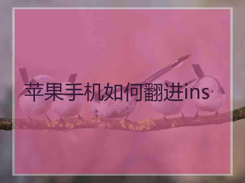 苹果手机如何翻进ins