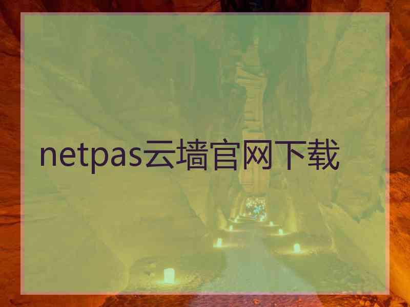 netpas云墙官网下载