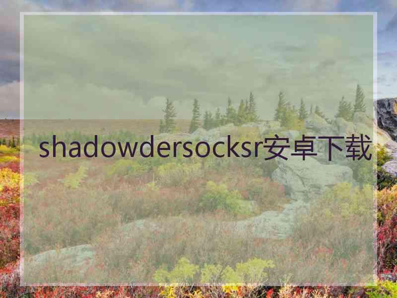 shadowdersocksr安卓下载