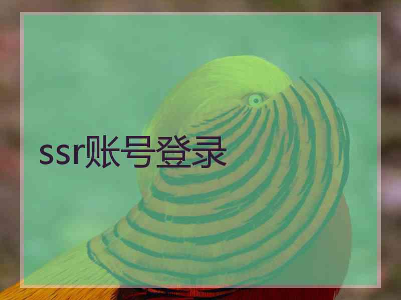 ssr账号登录