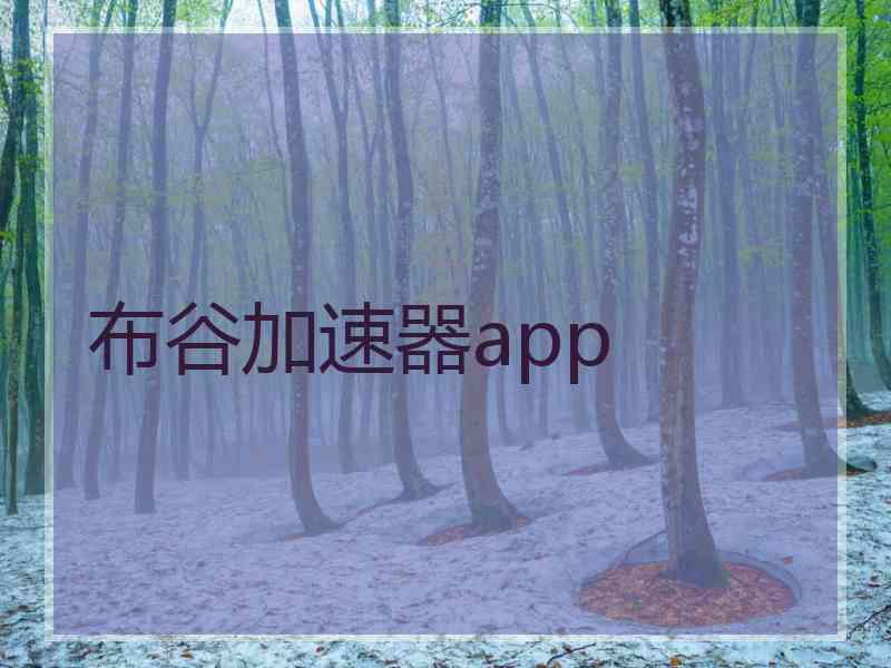 布谷加速器app