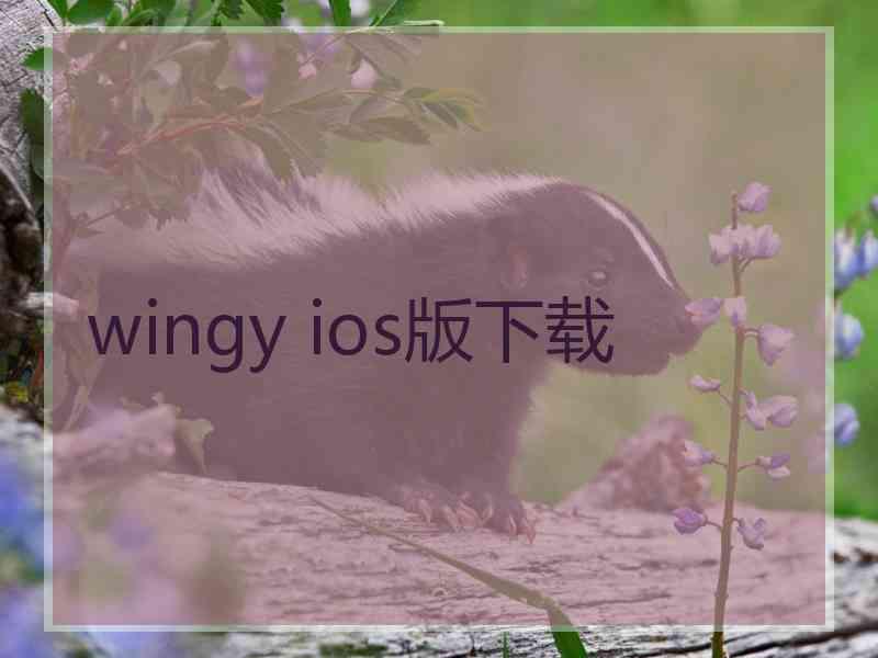 wingy ios版下载