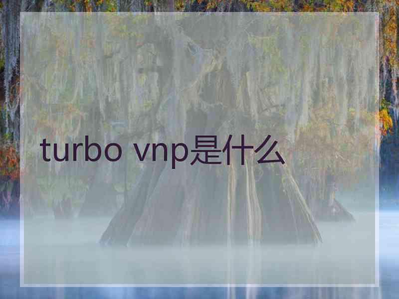 turbo vnp是什么