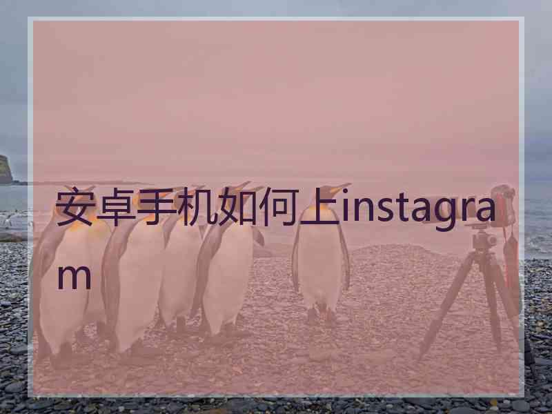 安卓手机如何上instagram