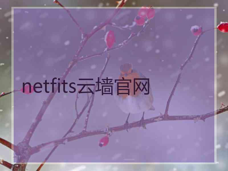 netfits云墙官网