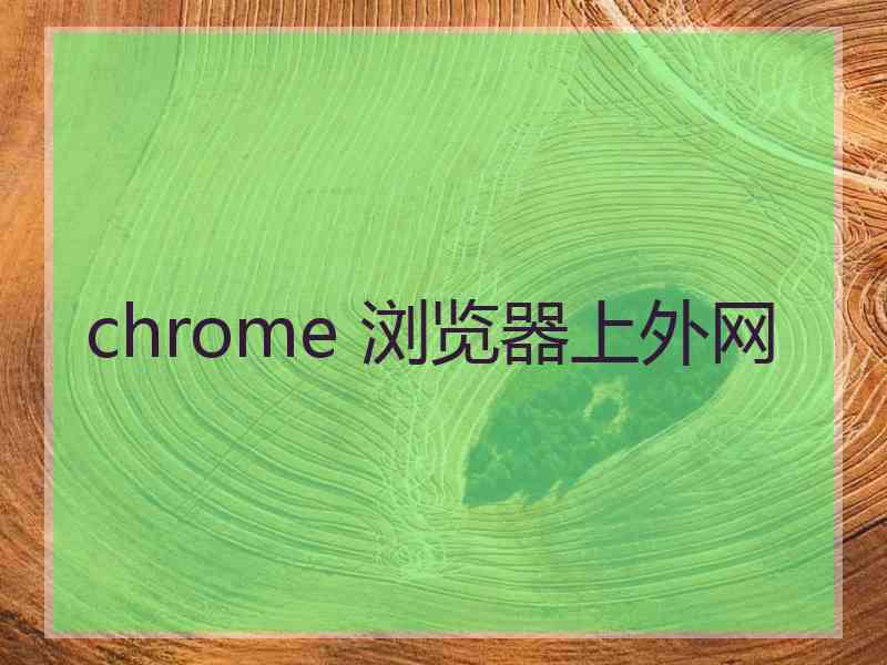 chrome 浏览器上外网