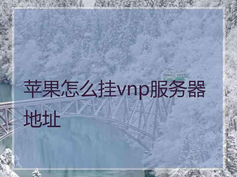 苹果怎么挂vnp服务器地址