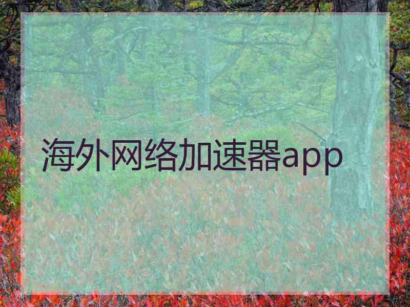 海外网络加速器app