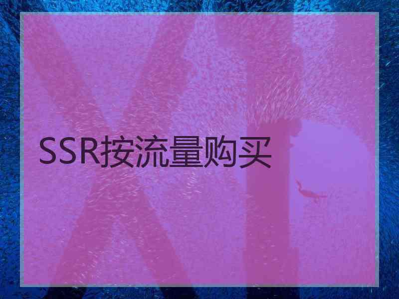 SSR按流量购买