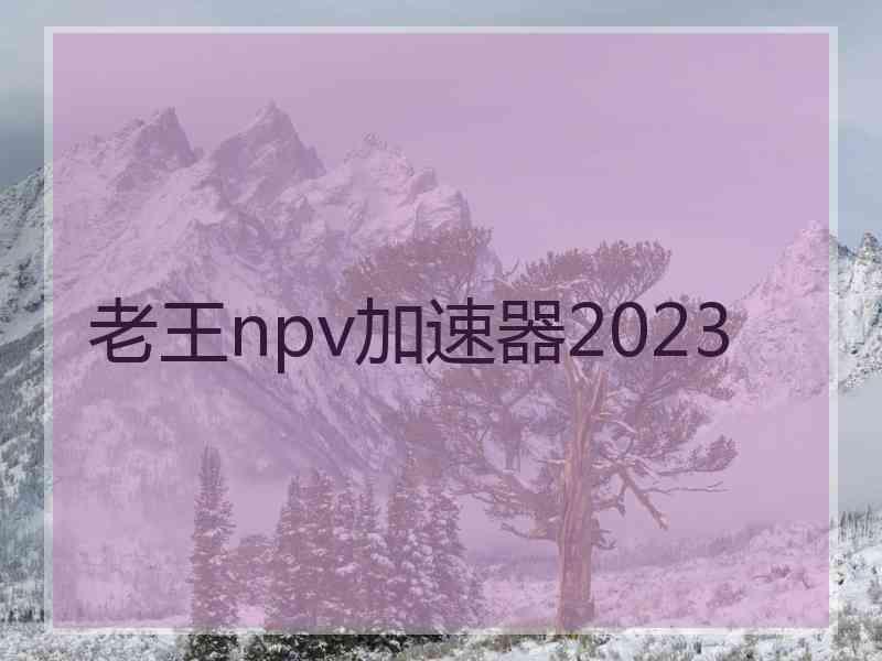 老王npv加速器2023