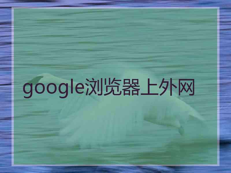 google浏览器上外网