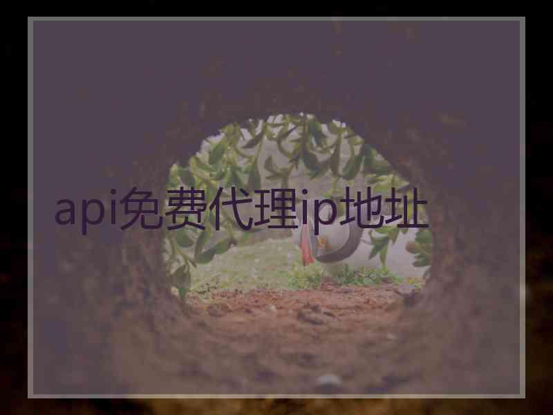 api免费代理ip地址