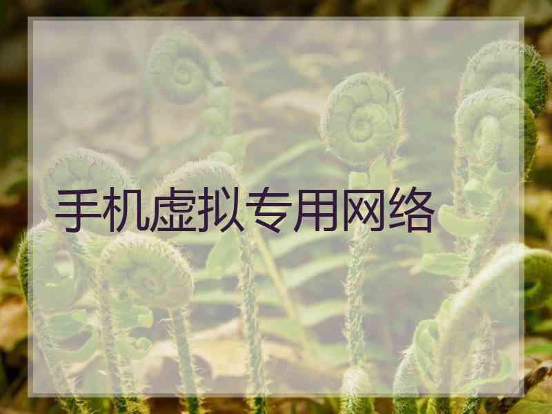 手机虚拟专用网络