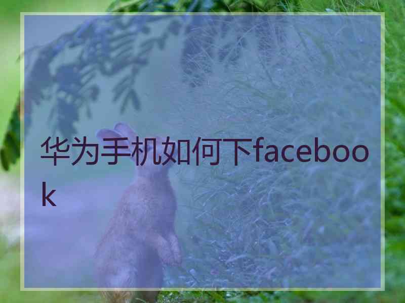 华为手机如何下facebook