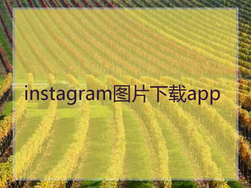 instagram图片下载app