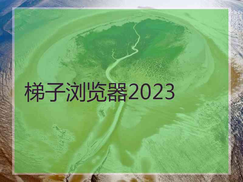 梯子浏览器2023