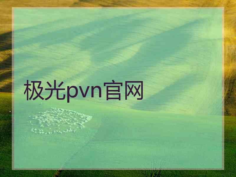 极光pvn官网