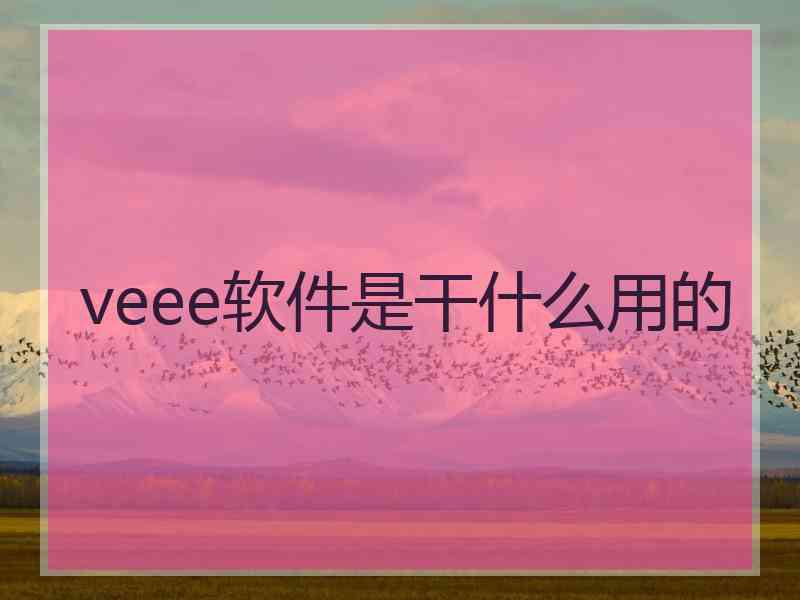 veee软件是干什么用的