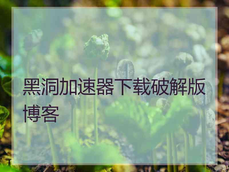 黑洞加速器下载破解版博客