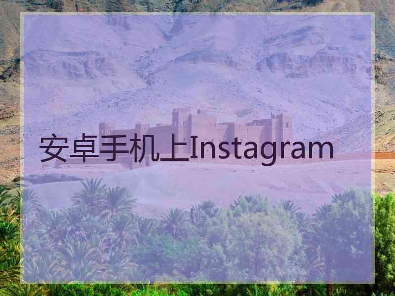 安卓手机上Instagram