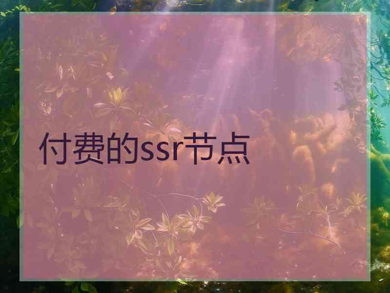 付费的ssr节点