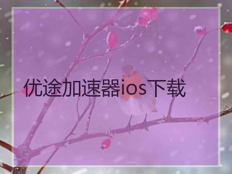 优途加速器ios下载