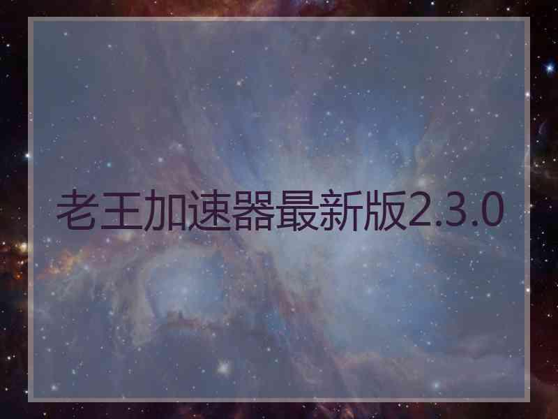 老王加速器最新版2.3.0