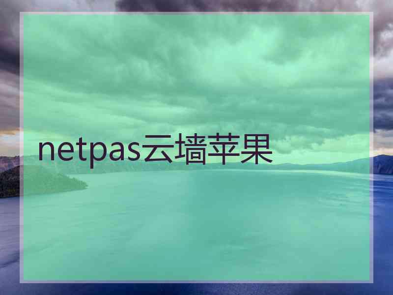 netpas云墙苹果