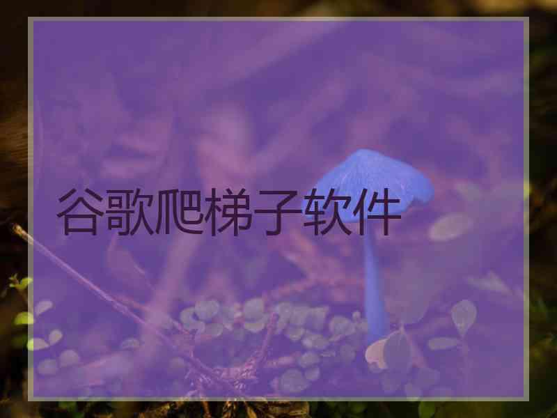 谷歌爬梯子软件