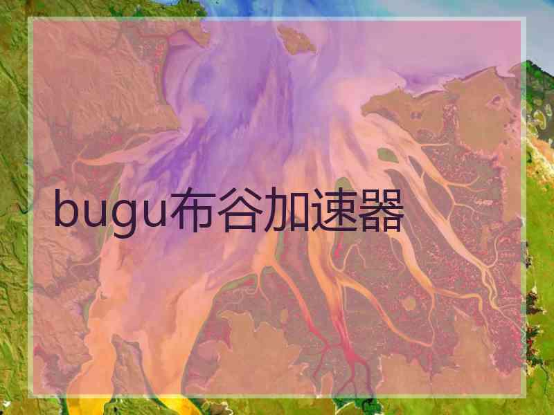 bugu布谷加速器