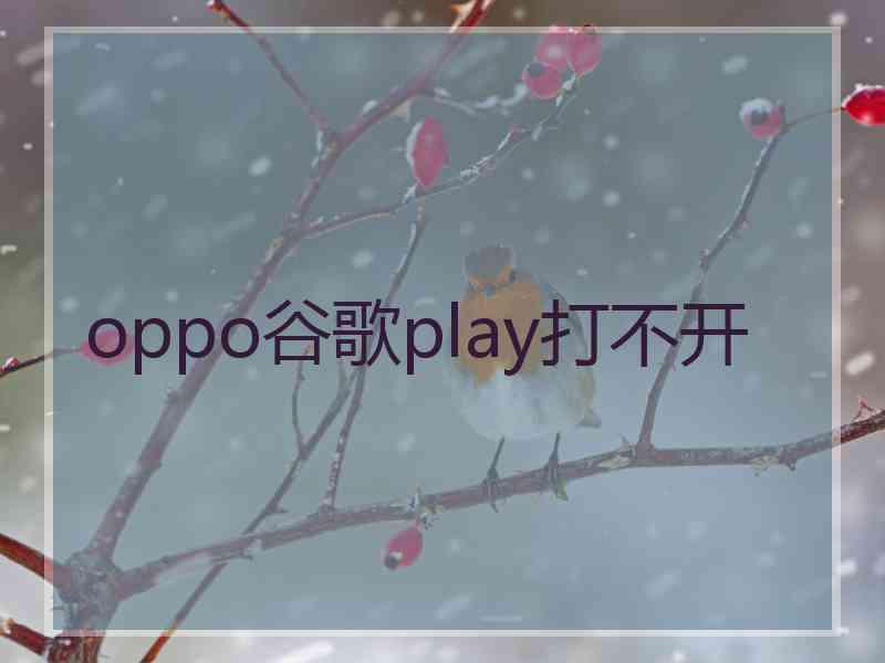 oppo谷歌play打不开