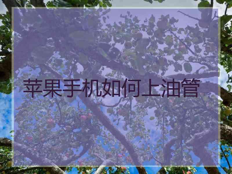 苹果手机如何上油管