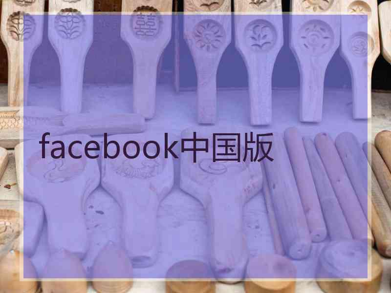 facebook中国版