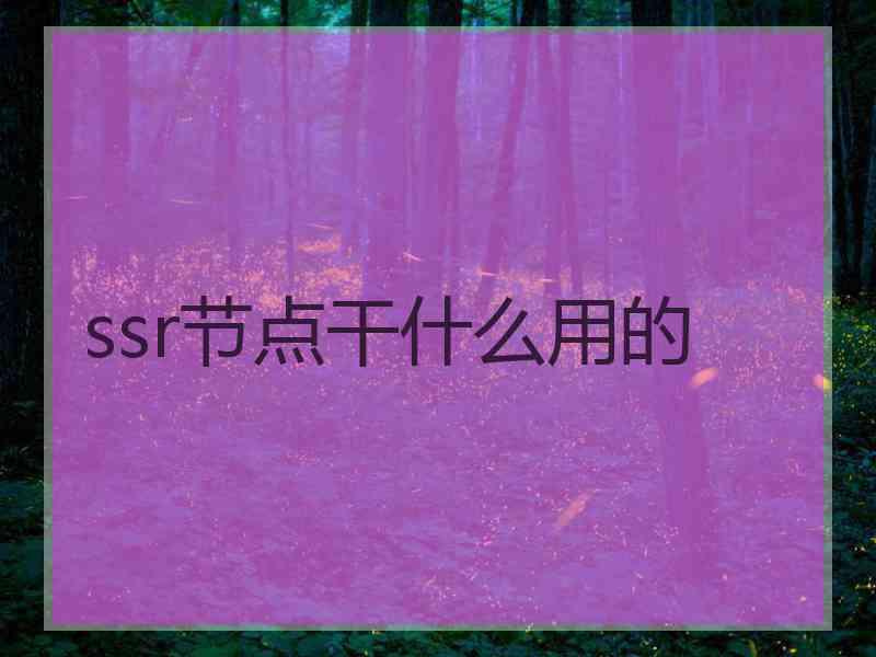 ssr节点干什么用的