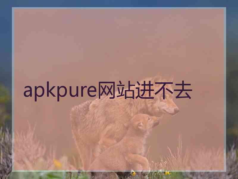 apkpure网站进不去