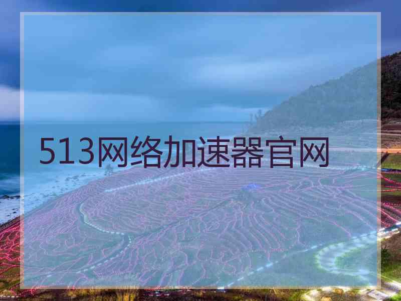 513网络加速器官网