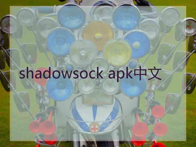 shadowsock apk中文