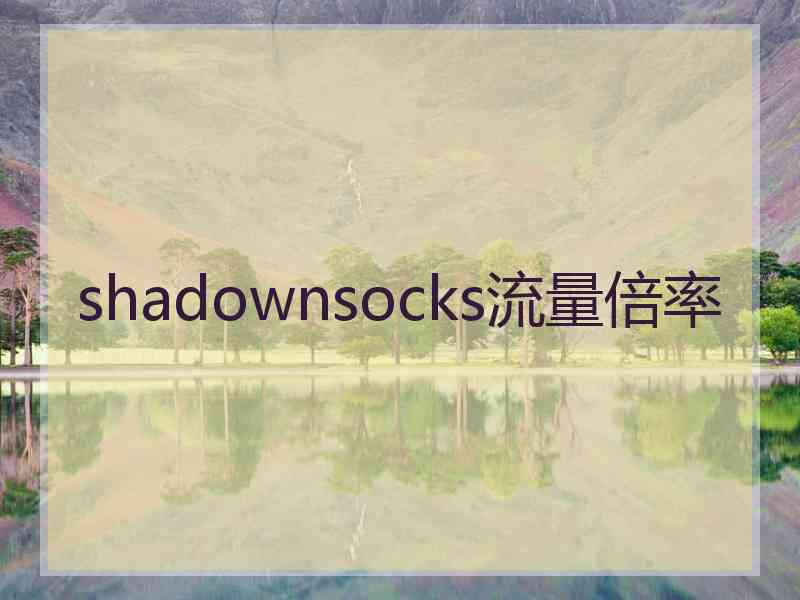 shadownsocks流量倍率